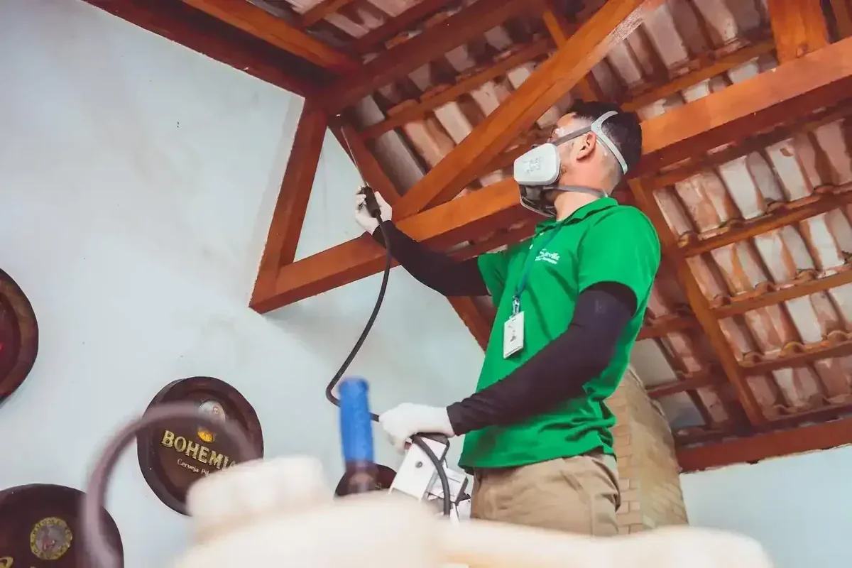 Profissional de máscara e uniforme verde pulveriza estrutura de telhado de madeira. Barris Bohemia ao fundo