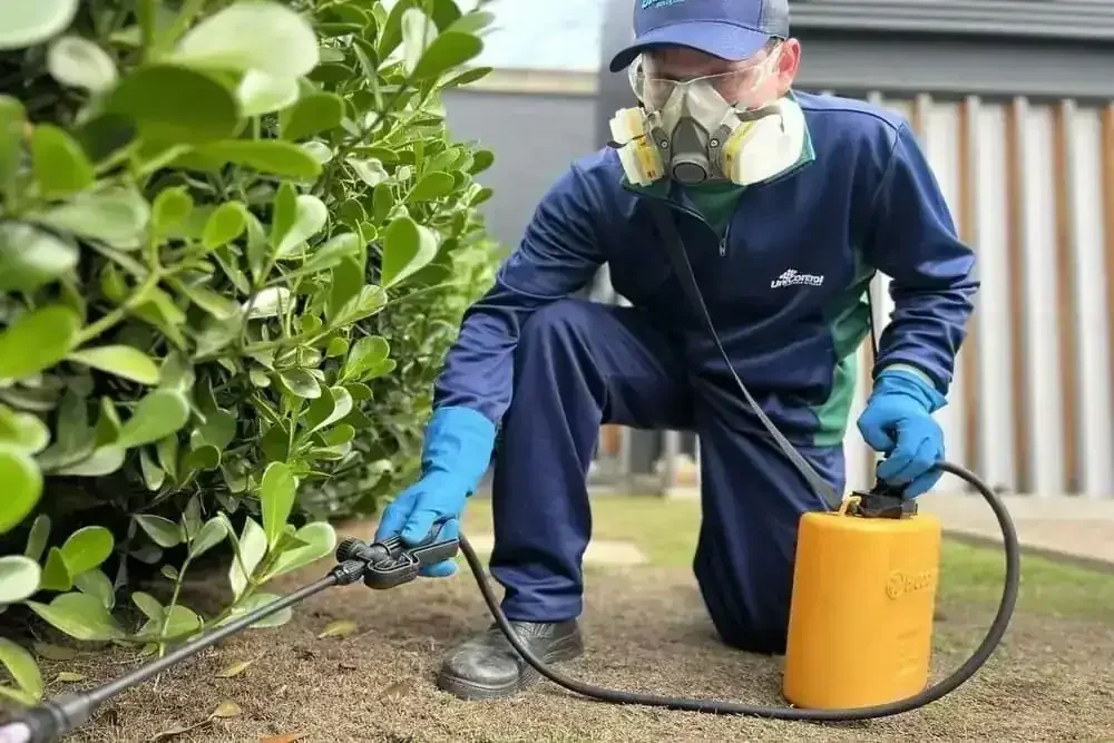 Pessoa de uniforme azul, máscara e luvas, pulverizando planta com borrifador amarelo